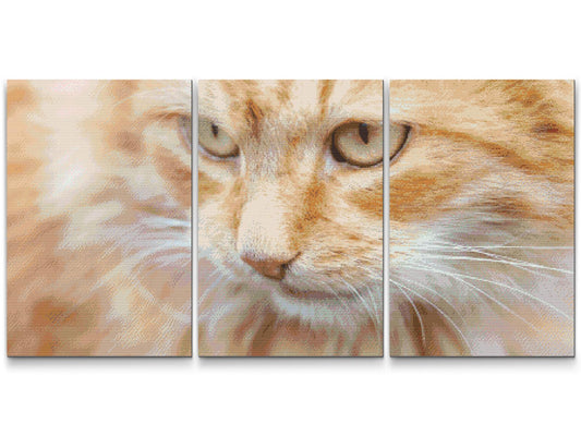 Diamond Painting - Jagtkat (sæt af 3)