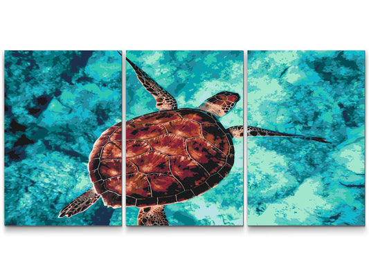 Paint by Numbers - Sea Turtle (sæt af 3)