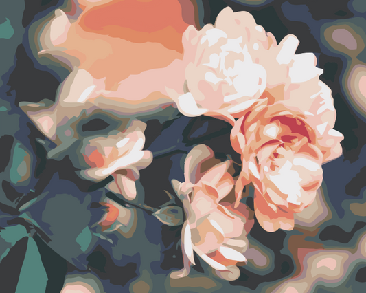 Paint by Numbers - Roser