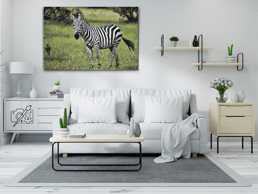 Paint by Numbers - Zebra i naturen