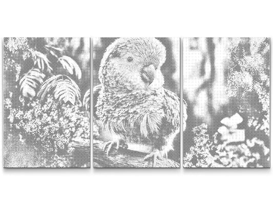 Mal-med-prikker - Parrot (sæt af 3)