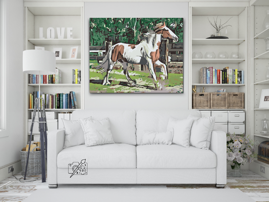 Paint by Numbers - Hest i indhegningen