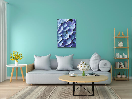 Paint by Numbers - Hortensiablomst