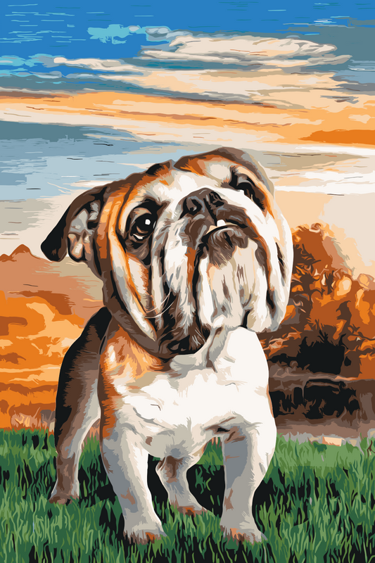 Paint by Numbers - Engelsk bulldog i haven