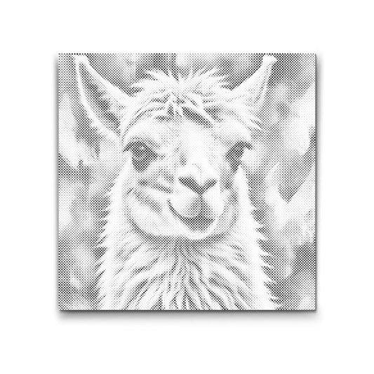 Lama