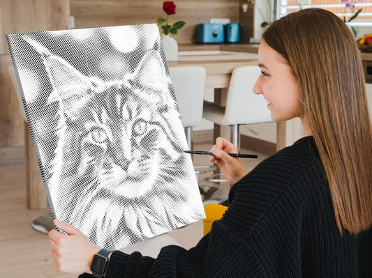 Mal-med-prikker - Maine Coon-kat