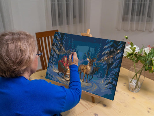 Paint by Numbers - Julemandens slæde