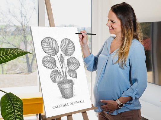 Mal-med-prikker - Calathea orbifolia