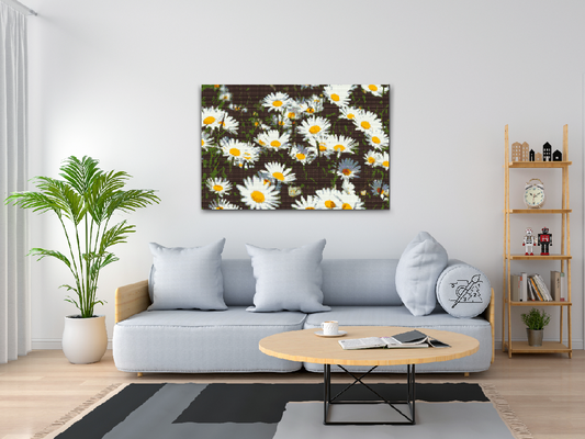 Diamond Painting - Margueritter på engen