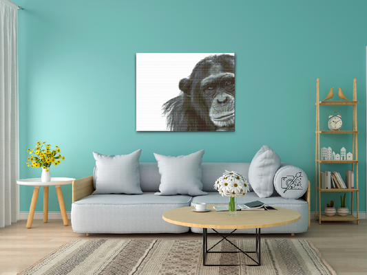 Diamond Painting - Chimpanse