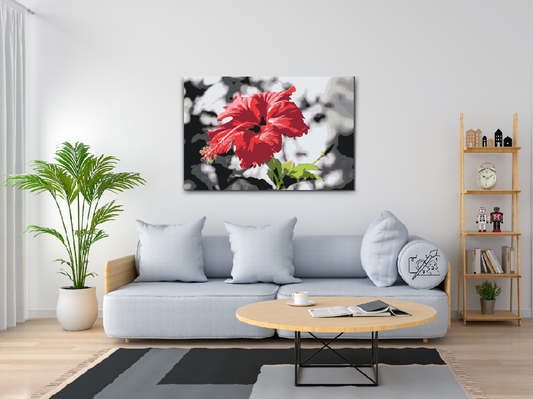 Paint by Numbers - Rød blomst i grå baggrund