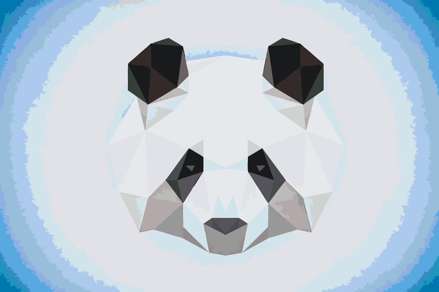 Paint by Numbers - Grafisk Panda