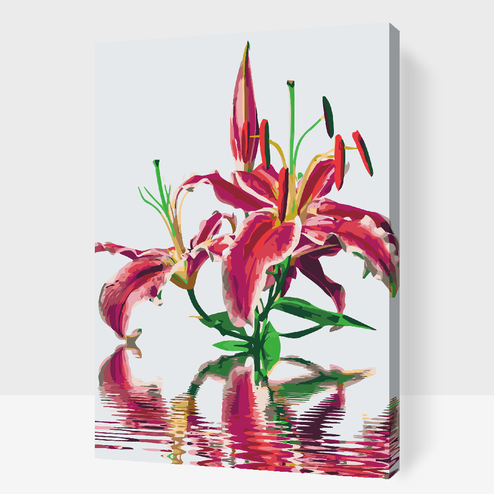 Paint by Numbers - Pink Lily