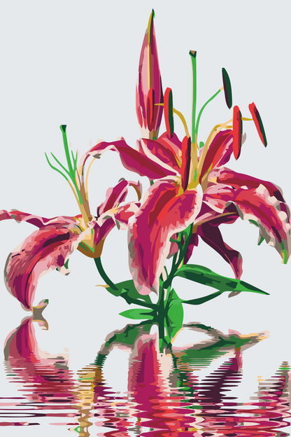 Paint by Numbers - Pink Lily