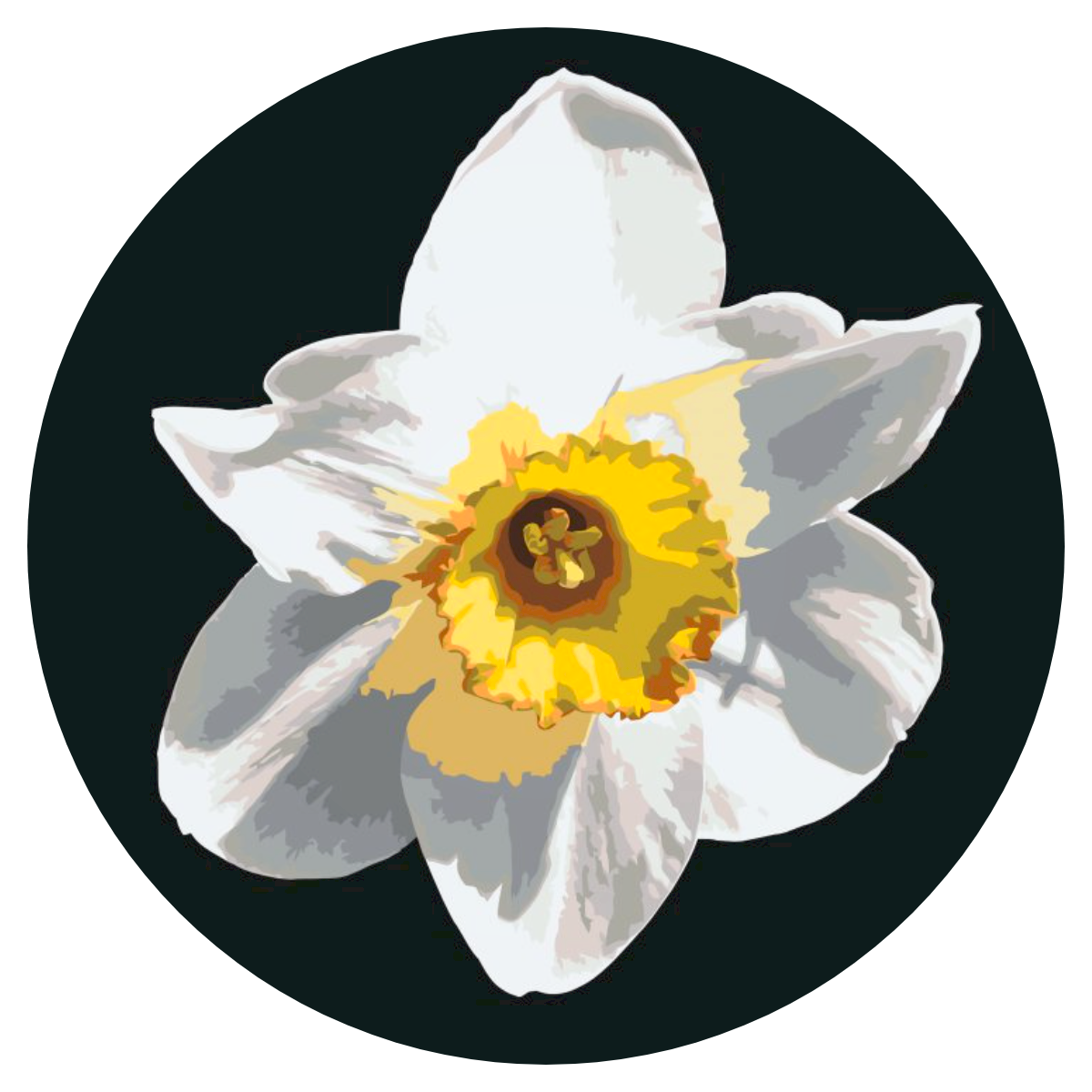 Paint by Numbers - Narcissusblomst