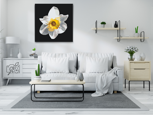 Paint by Numbers - Narcissusblomst