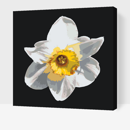 Paint by Numbers - Narcissusblomst