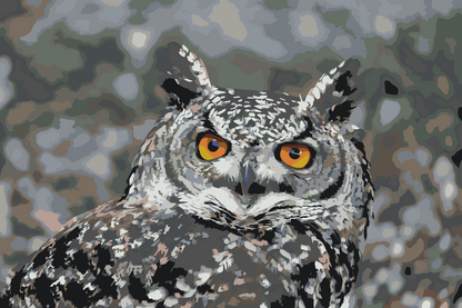 Paint by Numbers - Ugle 3