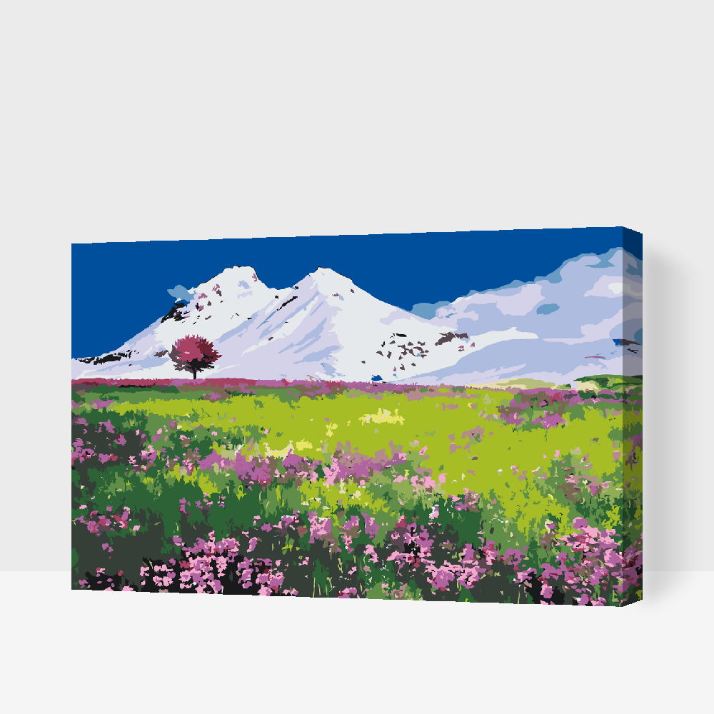 Paint by Numbers - Eng midt i bjergene