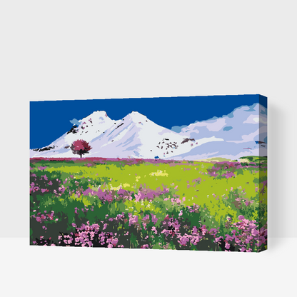Paint by Numbers - Eng midt i bjergene