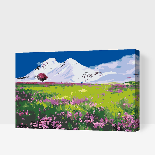 Paint by Numbers - Eng midt i bjergene