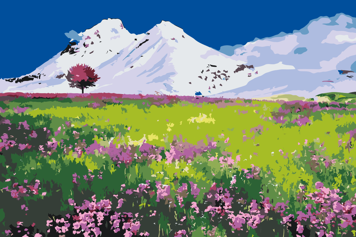 Paint by Numbers - Eng midt i bjergene