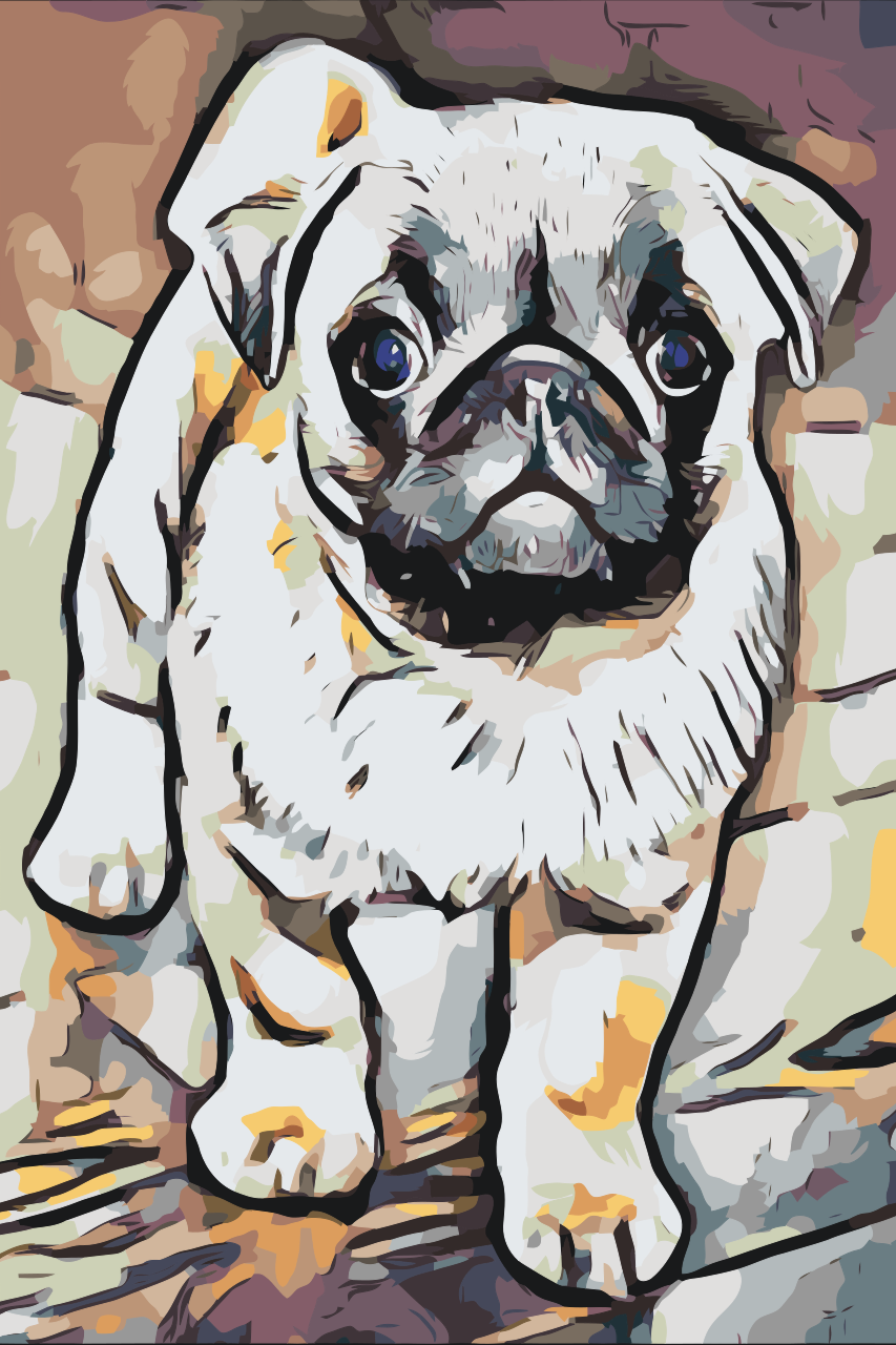 Paint by Numbers - Mops