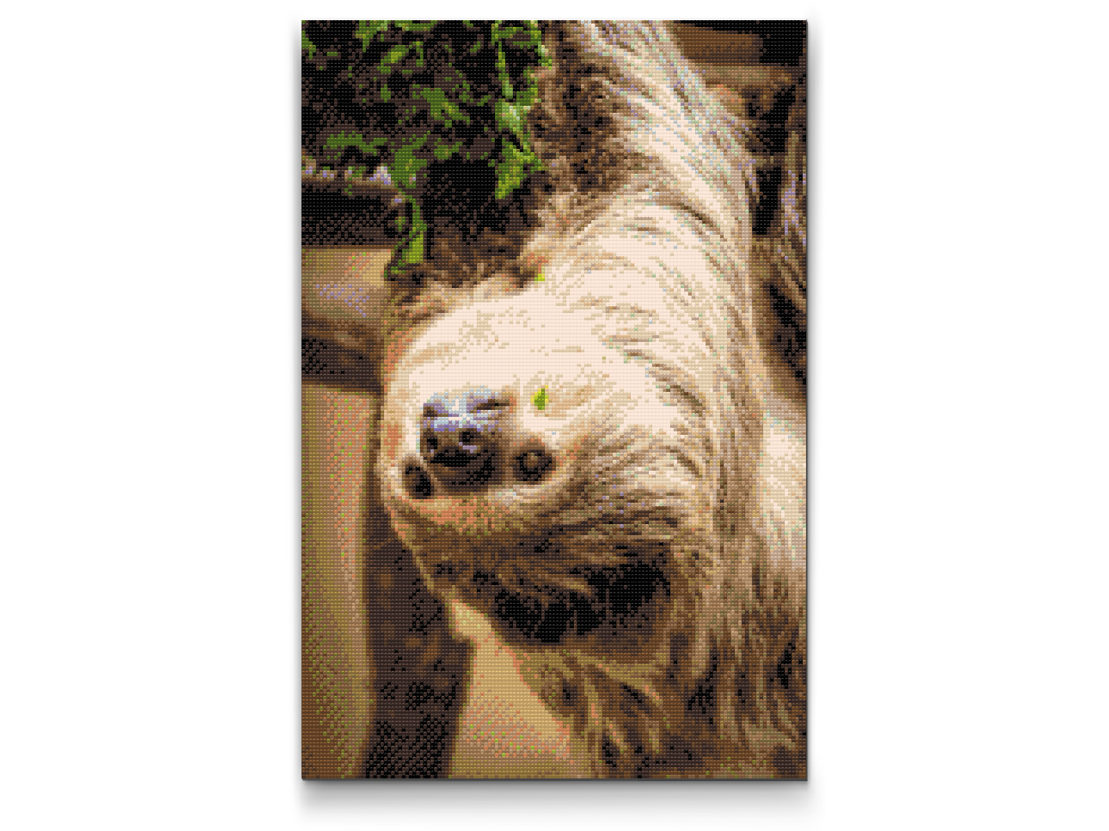 Diamond Painting - Sloth 2