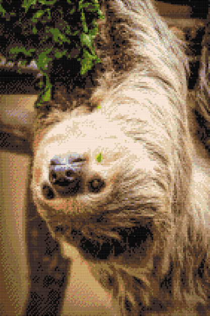 Diamond Painting - Sloth 2