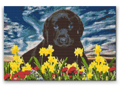 Diamond Painting - Labrador Puppy