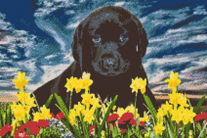 Diamond Painting - Labrador Puppy