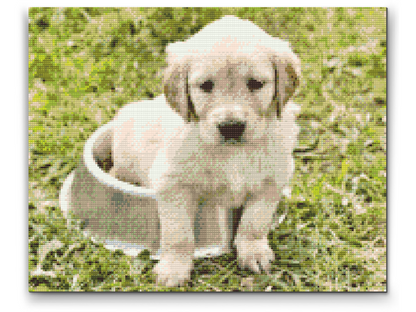 Diamond Painting - Labrador i Bowl
