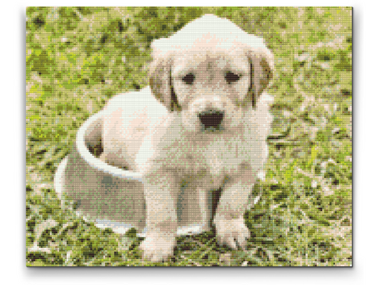Diamond Painting - Labrador i Bowl