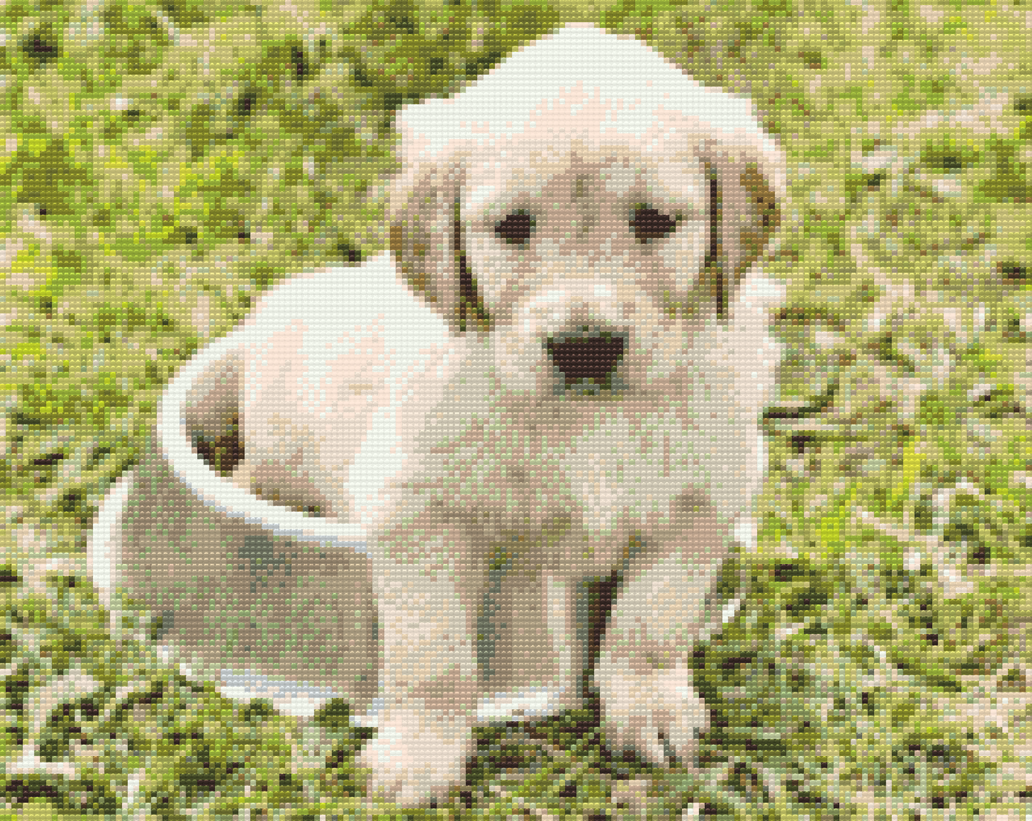 Diamond Painting - Labrador i Bowl
