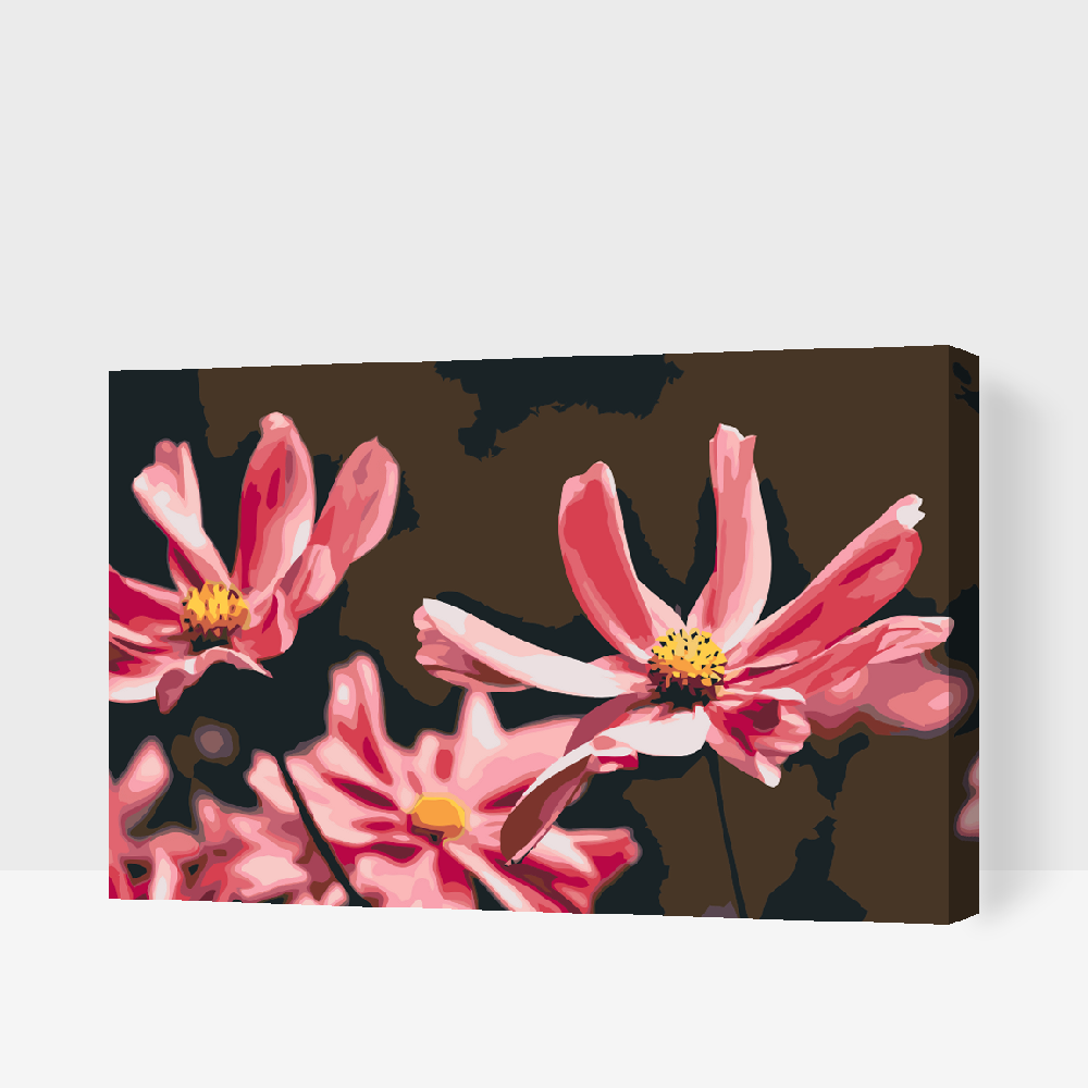 Paint by Numbers - Pink Flowers