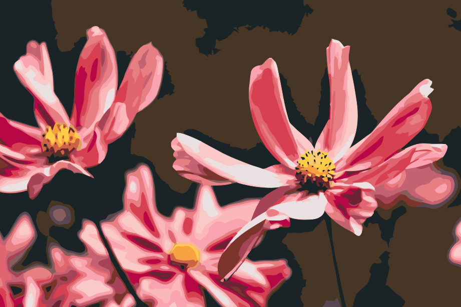 Paint by Numbers - Pink Flowers