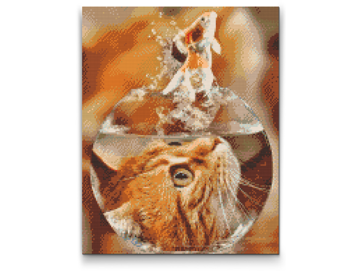 Diamond Painting - Cats View af en guldfisk