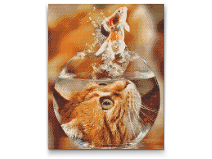 Diamond Painting - Cats View af en guldfisk