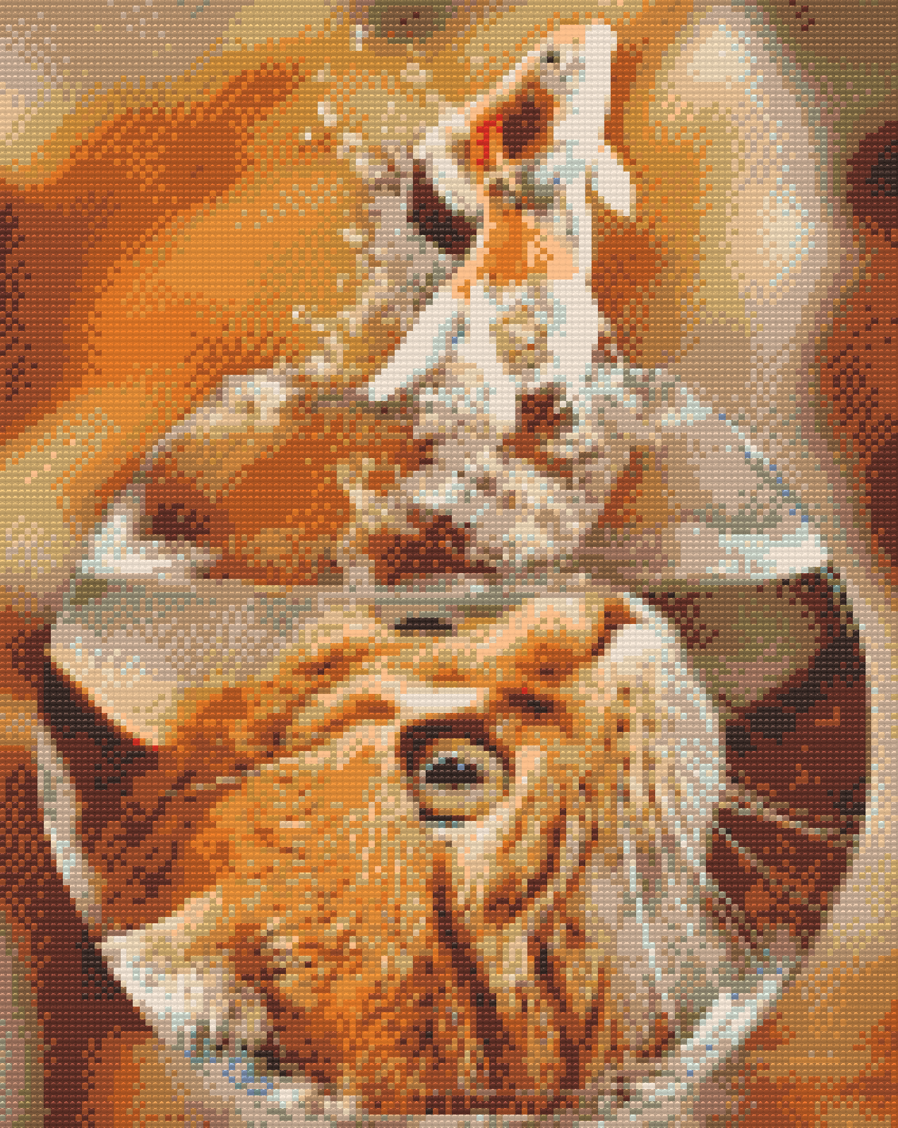 Diamond Painting - Cats View af en guldfisk