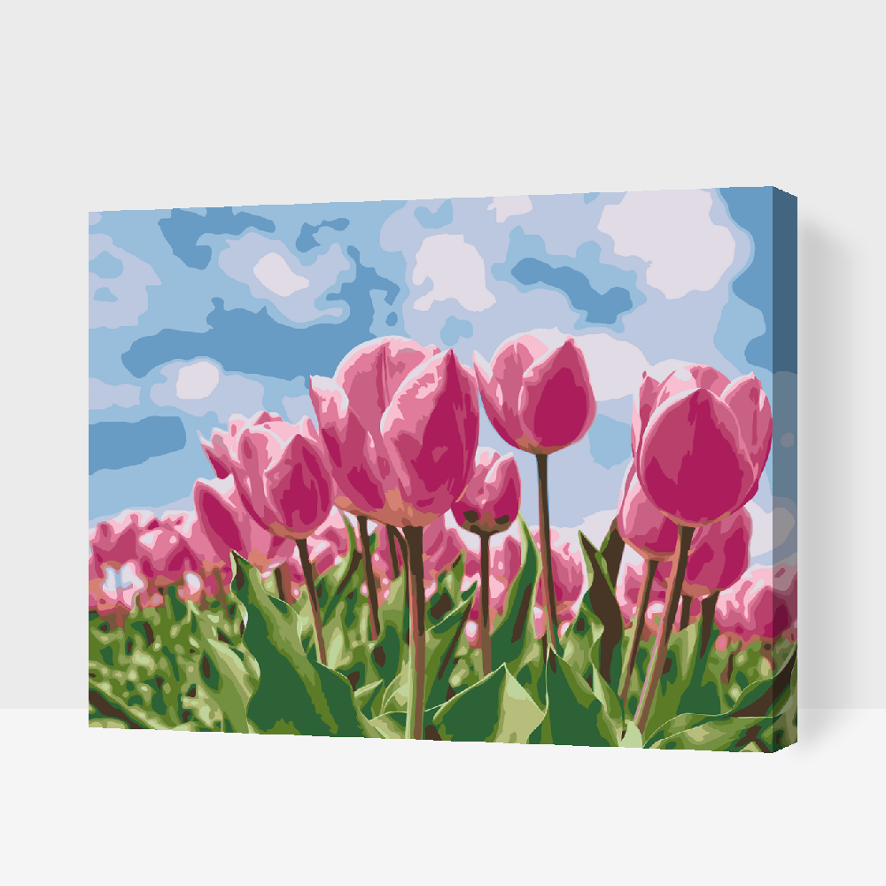 Paint by Numbers - Lyserøde tulipaner