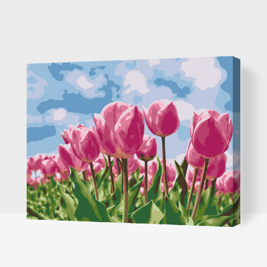 Paint by Numbers - Lyserøde tulipaner