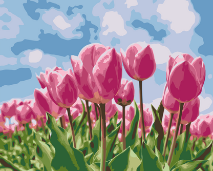 Paint by Numbers - Lyserøde tulipaner