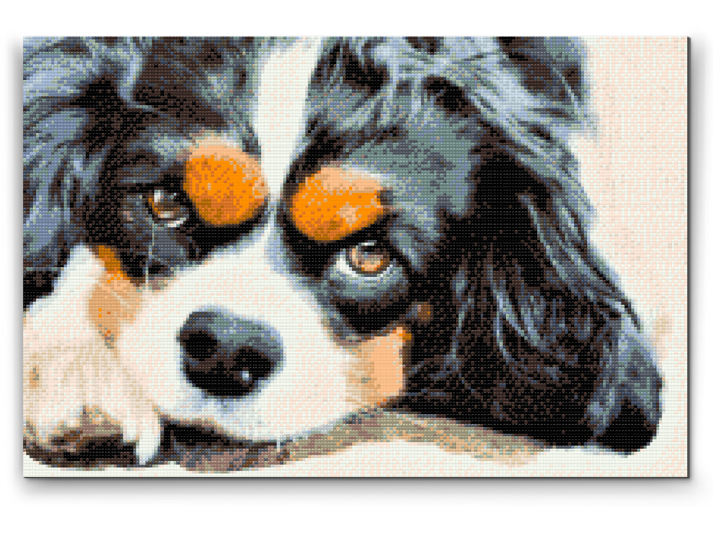 Diamond Painting - Thougtful Dog