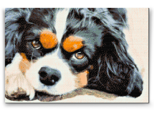 Diamond Painting - Thougtful Dog