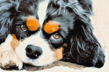 Diamond Painting - Thougtful Dog