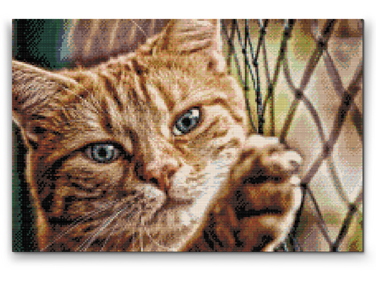 Diamond Painting - Kat på hegnet