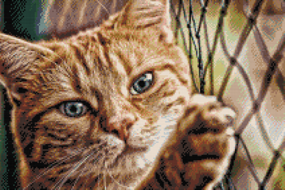 Diamond Painting - Kat på hegnet