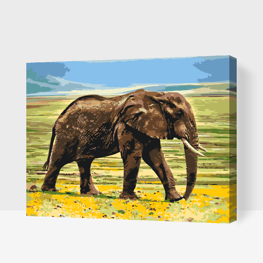 Paint by Numbers - Safari-elefant