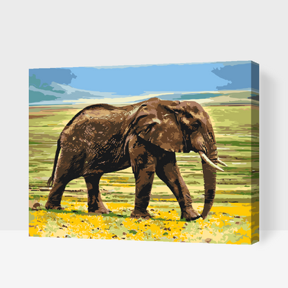 Paint by Numbers - Safari-elefant