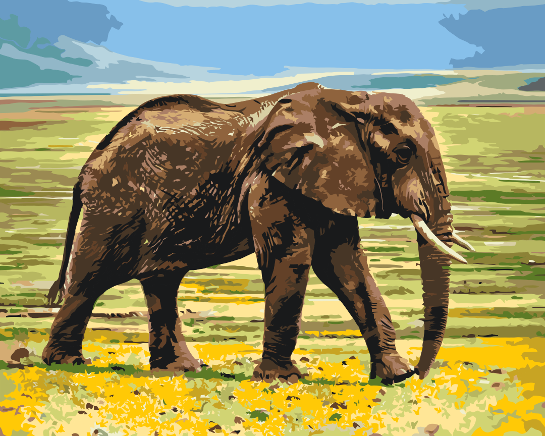 Paint by Numbers - Safari-elefant